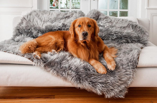PAW BRANDS Pupprotector Waterproof Throw Blanket, White/Brown, 60X50 | Waterproof, Machine Washable — Protects Couches, Beds & Car Seats18