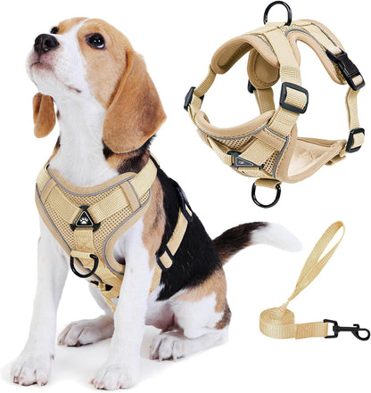No Pull Dog Harness with Leash Set for Small Sized Dog, Reflective Adjustable No Choke Front Clip Cat Vest Harness with Breathable Mesh, Comfortable Soft Padded Pet Vest, Blue M11