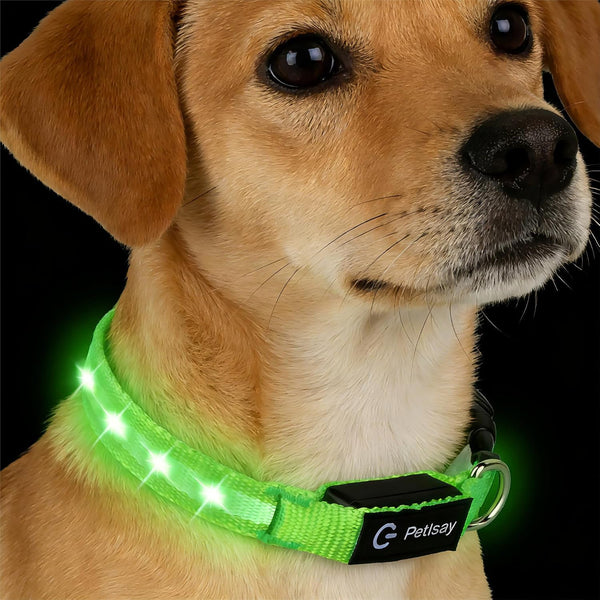 Super Bright LED Dog Collar, Waterproof Light up Collars(Green, Medium) | Lighted Dog Collar with Adjustable Fit, Soft Nylon Comfort, USB-C Rechargeable, Glow in the Dark Visibility for Night Walks12