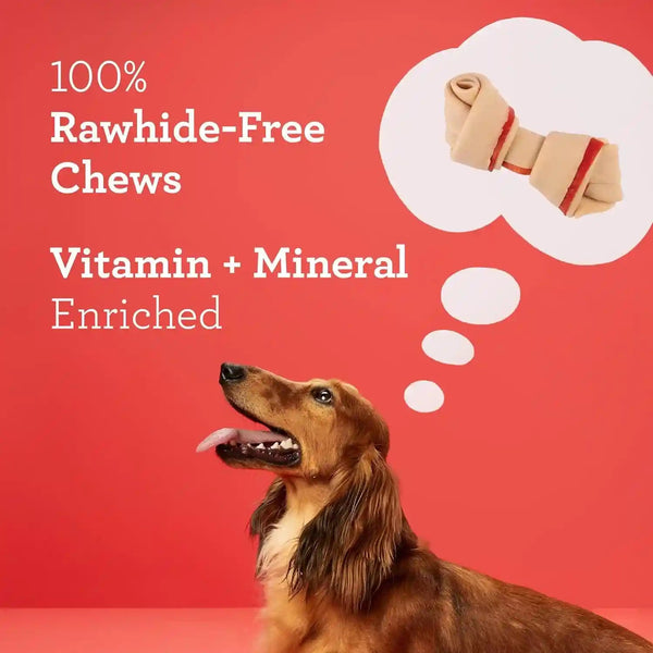 Dreambone Chicken Mini Bone Dog Treats, Daily Rawhide-Free Chew, Digests Safely and Completely, with Real Protein, Chicken and Veggies, 50 Count5