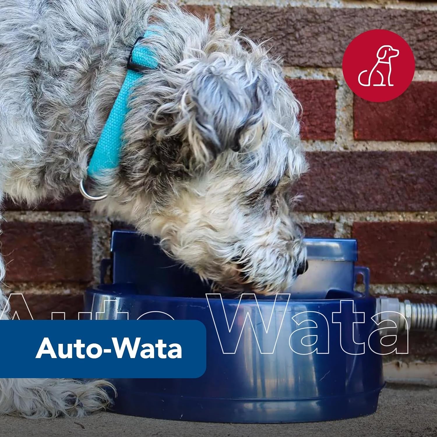 coastal-pet-bergan-auto-wata-outdoor-dog-cat-water-dispenser-automatic-water-bowl-for-pets-made-from-durable-bpa-free-plastic-self-watering-cat-dog-bowl-navy-48-ounces