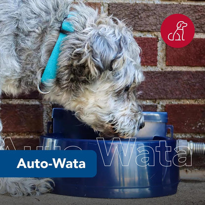 Coastal Pet Bergan Auto-Wata - Outdoor Dog & Cat Water Dispenser - Automatic Water Bowl for Pets - Made from Durable, Bpa-Free Plastic - Self-Watering Cat & Dog Bowl - Navy, 48 Ounces2