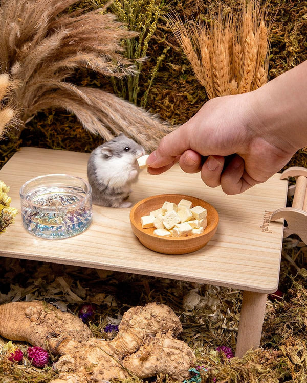 Niteangel Hamster Snack & Treats Toy - Freeze-Dried Tofu No Additive | Delivers Essential Vitamins & Minerals- Small Animal Natural Treat for Dwarf Syrian Hamsters Gerbils Mice Degus or Small Pets4