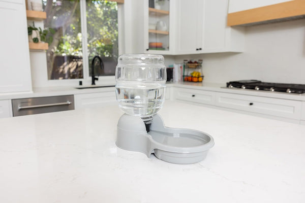 Petmate Aspen Pet Lebistro Water Dispenser for Cats and Dogs, 1 Gal Size | Gravity Fed Reservoir, Reduces Daily Refills, USA Made, Wide Basin, Suits Multiple Pets Sharing One Feeding Area Each Day3