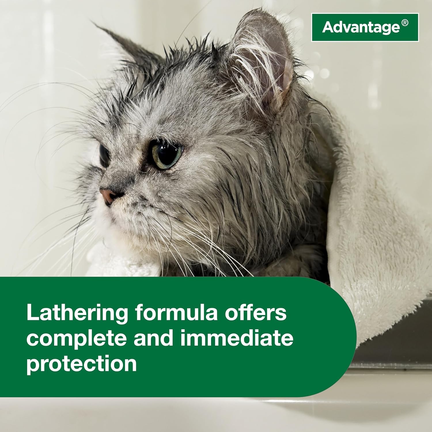 advantage-cat-flea-tick-shampoo-for-kittens-adult-cats-kills-fleas-ticks-8-oz