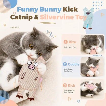 Cat Toys for Indoor Cats, 2 PCS 8000Mg A+Natural Catnip Silvervine Crinkle Interactive Cat Toy Pig with Bell Elastic Tail, Baby-Grade Plush Chew Toy for Teeth Cleaning, Cat Kickers for Boredom5