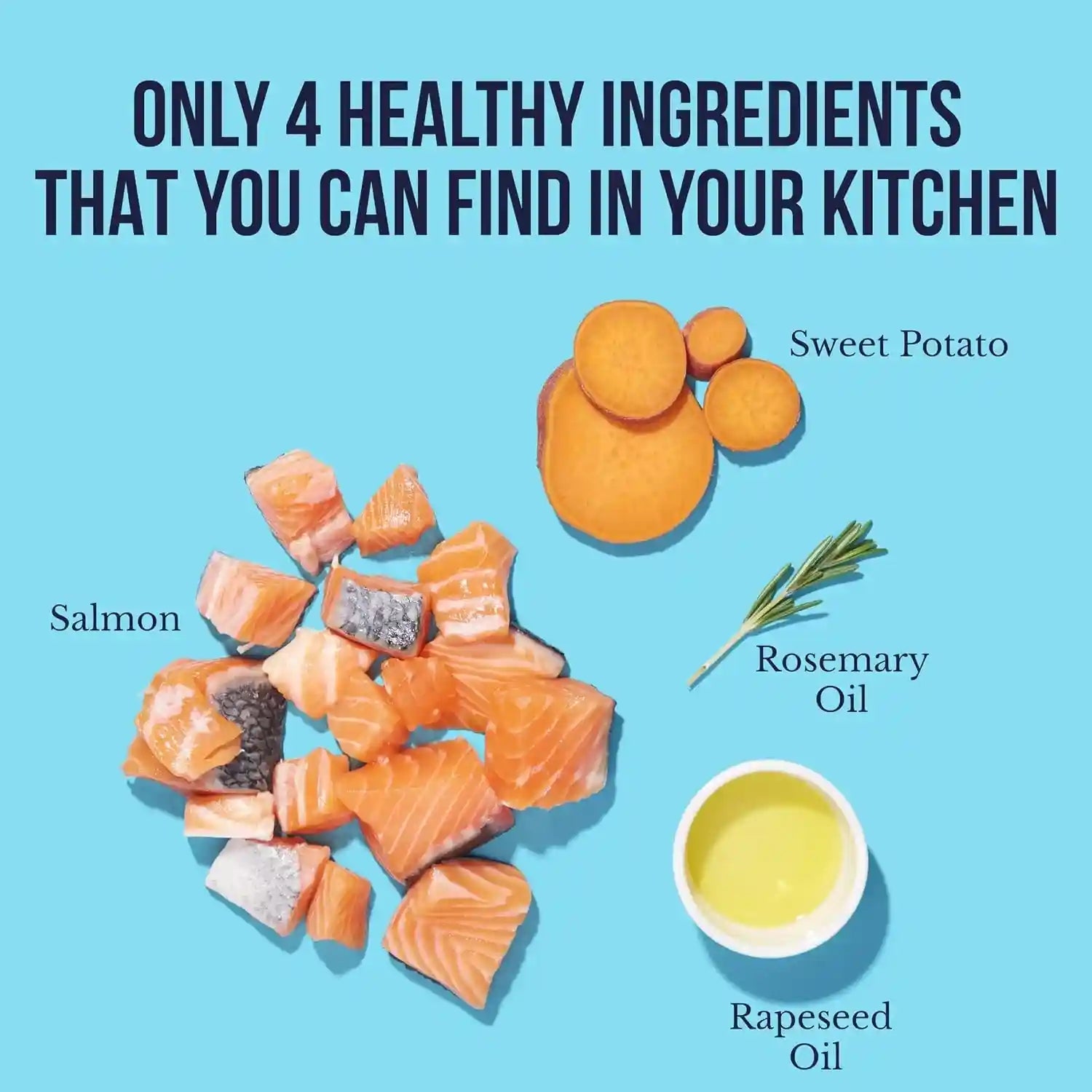 snif-snax-salmon-bites-dog-treats-3-pack-all-natural-human-grade-training-treats-for-dogs-healthy-grain-free-puppy-adult-rewards-protein-rich-soft-salmon-snacks