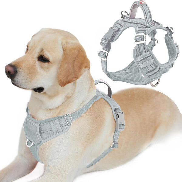 BARKBAY Dog Harness No Pull with ID Tag Pocket - Heavy Duty, Reflective, Easy Control for Large Dogs(Blue,L)70