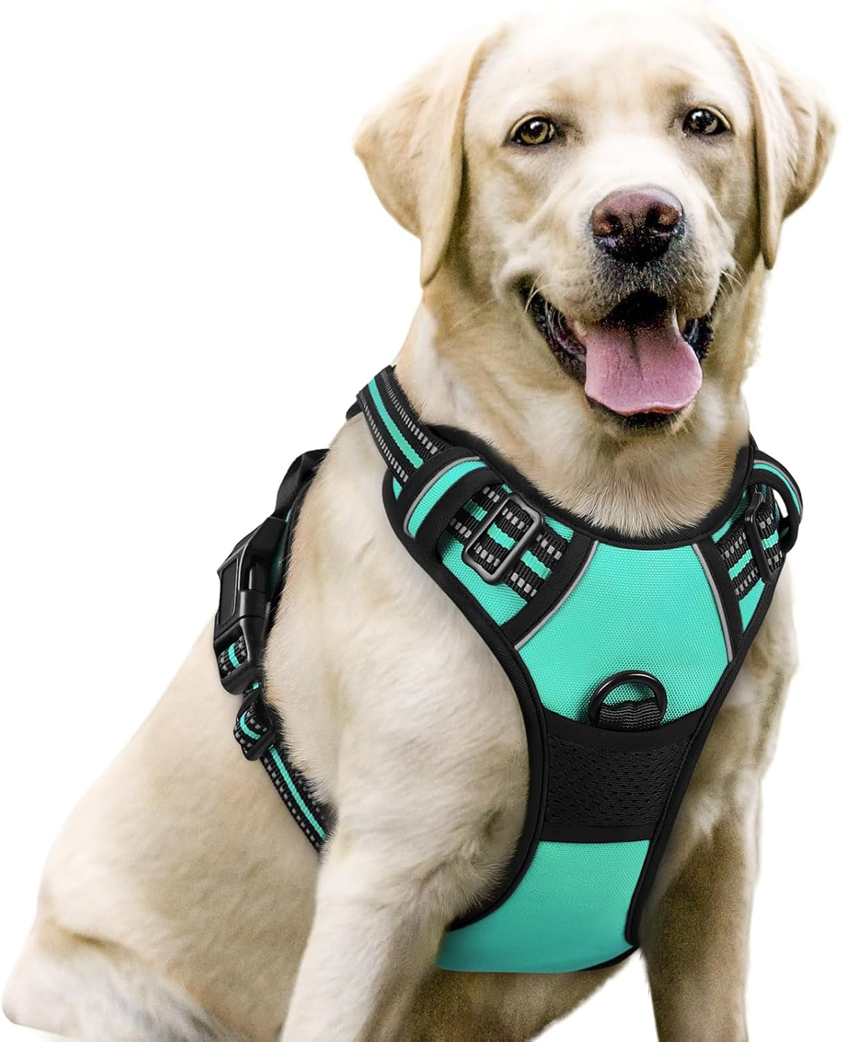 rabbitgoo-dog-harness-no-pull-for-large-dogs-with-2-leash-clips-pet-vest-no-choke-with-handle-adjustable-soft-padded-reflective-easy-control-for-walking-black-large