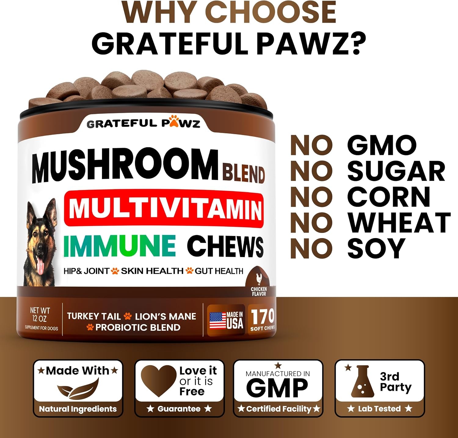 turkey-tail-mushroom-supplement-for-dogs-170-chews-mushrooms-for-dogs-reishi-lion-s-mane-glucosamine-multivitamin-immune-booster-gut-hip-joint-health-support-vitamins-energy-skin