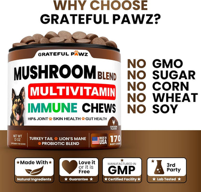 Turkey Tail Mushroom Supplement for Dogs - 170 Chews - Mushrooms for Dogs - Reishi, Lion’S Mane, Glucosamine Multivitamin - Immune Booster, Gut, Hip & Joint Health Support Vitamins, Energy & Skin4