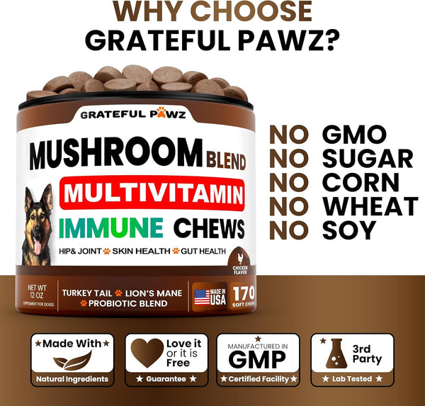 Turkey Tail Mushroom Supplement for Dogs - 170 Chews - Mushrooms for Dogs - Reishi, Lion’S Mane, Glucosamine Multivitamin - Immune Booster, Gut, Hip & Joint Health Support Vitamins, Energy & Skin4