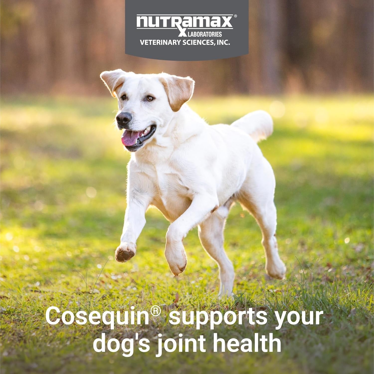 nutramax-cosequin-joint-supplement-for-dogs-chewable-tablets-132ct-glucosamine-chondroitin-for-dogs-with-msm-supports-healthy-joints-all-breeds-sizes-all-ages