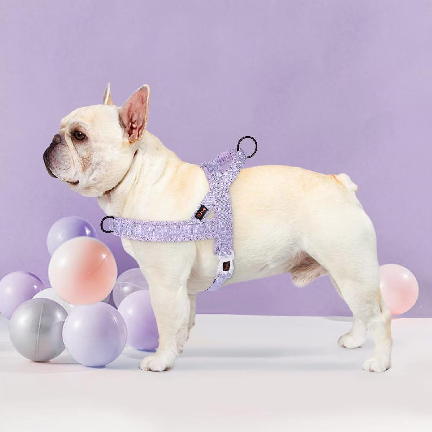 didog-no-pull-dog-harness-with-breathable-mesh-padded-quick-fit-easy-on-dog-vest-harness-for-small-medium-large-dogs-training-walkingpurple-xs