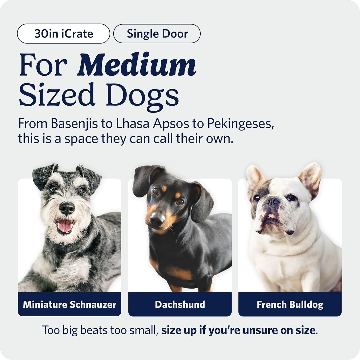 midwest-homes-for-pets-30-inch-icrate-for-medium-breeds-21-40-lbs-single-door-folding-dog-crate-with-divider-panel-leak-proof-tray-secure-latch-portable-durable-easy-to-assemble