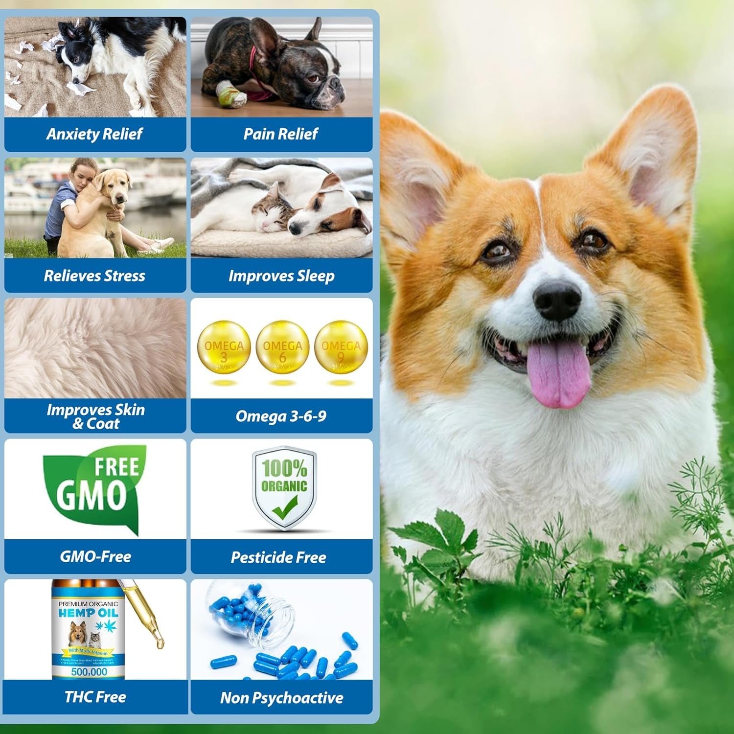 oil-for-dogs-cats-60ml-pet-oil-for-pain-skin-arthritis-pain-pain-relief-calming-omega-3-6-9-for-dog-emotions-barking-dog-joints-supports-maintains-healthy-joints-1-pack-blue
