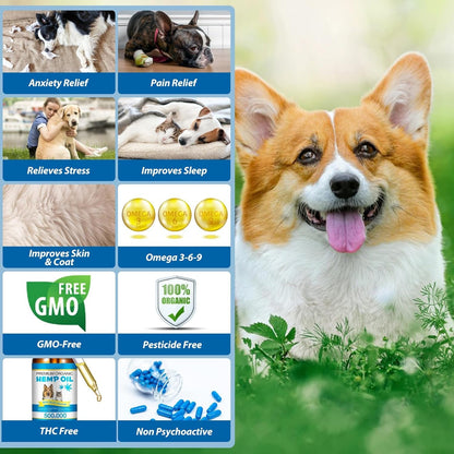 Oil for Dogs & Cats 60Ml,Pet Oil for Pain,Skin,Arthritis Pain,Pain Relief,Calming,Omega 3,6,9 for Dog Emotions,Barking & Dog Joints,Supports & Maintains Healthy Joints (1 Pack, Blue)7