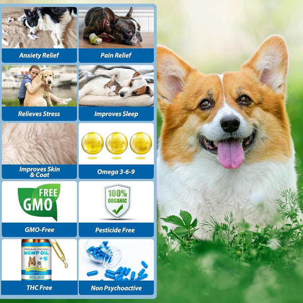 Oil for Dogs & Cats 60Ml,Pet Oil for Pain,Skin,Arthritis Pain,Pain Relief,Calming,Omega 3,6,9 for Dog Emotions,Barking & Dog Joints,Supports & Maintains Healthy Joints (1 Pack, Blue)7