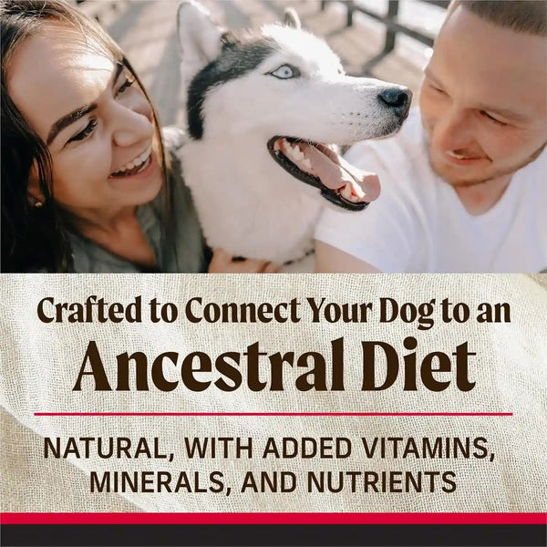 Merrick Backcountry Grain Free Dry Adult Dog Food Kibble with Freeze Dried Raw Pieces, Great Plains Red Recipe - 20.0 Lb. Bag3