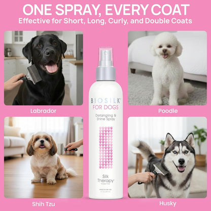 Biosilk for Dogs Silk Therapy Detangling and Shine Protecting Spray, Ph Balanced Leave-In Mist with Silk and Vitamins for Dematting, Paraben-Free, All Coats and Breeds, 8 Fl Oz | Ph-Balanced, Paraben-Free Leave-In Mist with Silk and Vitamins; Dematting Spray for All Coats and Breeds11