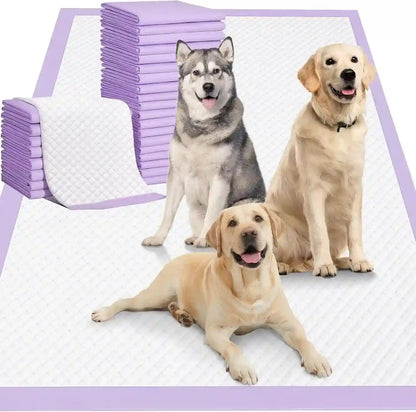 Dogs on purple-edged puppy pads, ideal for pet training and indoor use, with stacks of absorbent mats nearby.1