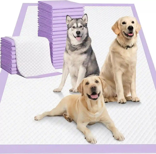 Dogs on purple-edged puppy pads, ideal for pet training and indoor use, with stacks of absorbent mats nearby.1