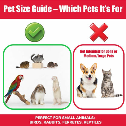 SPOT Stainless Steel Mini Coop Cup with Wire Hooks – 10 Oz Small Pet Food & Water Bowl, Rust-Resistant & Easy to Clean, Attaches to Cages for Birds, Parrots, Rabbits, Ferrets, Rats & Small Pets4