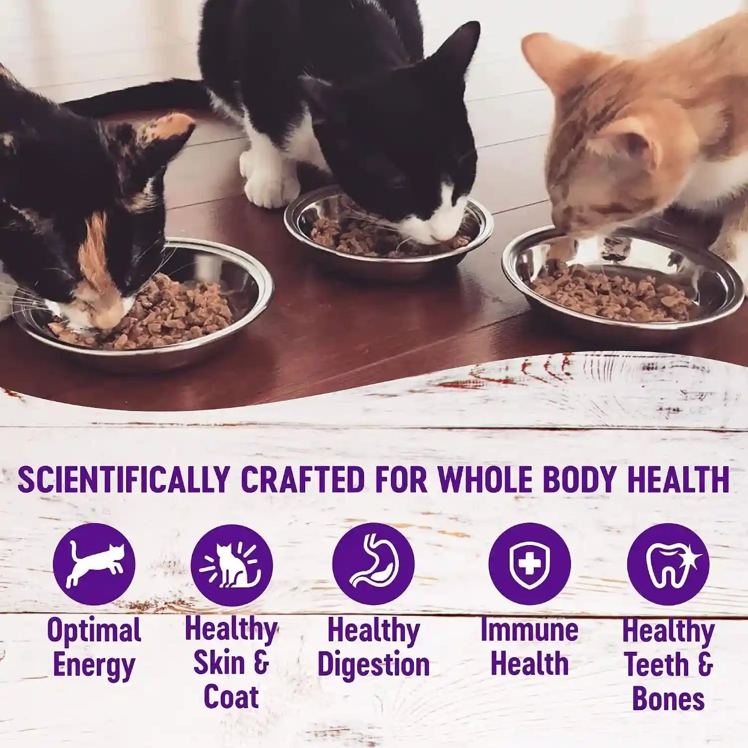 wellness-healthy-indulgence-morsels-variety-pack-adult-wet-cat-food-natural-protein-rich-grain-free-2-flavors-3-oz-pack-of-8-pouches