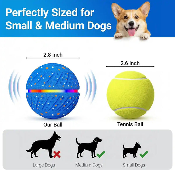 Interactive Dog Ball Toy for Small Medium Dogs – Automatic Rolling, Bouncing & Moving Dog Toy with LED Lights, 2-In-1 Fetch Toy, Durable E-TPU, USB Rechargeable (2.8” Blue)9