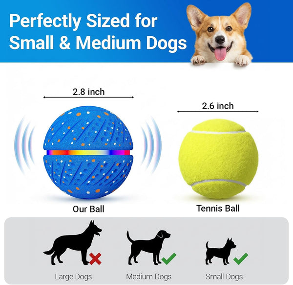 Interactive Dog Ball Toy for Small Medium Dogs – Automatic Rolling, Bouncing & Moving Dog Toy with LED Lights, 2-In-1 Fetch Toy, Durable E-TPU, USB Rechargeable (2.8” Blue)9