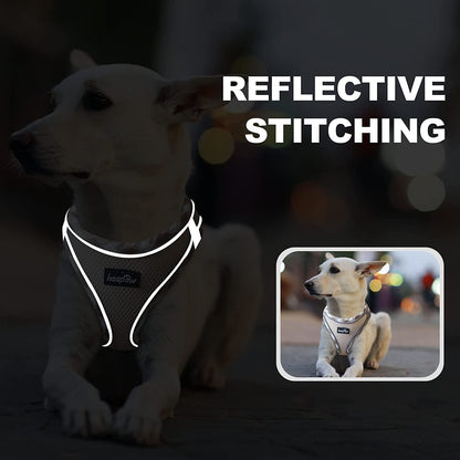 Haapaw Dog Harness with Leash Set, No Pull Adjustable Reflective Step-In Puppy Harness with Thickened Padded Vest for Extra-Small/Small Medium Dogs5