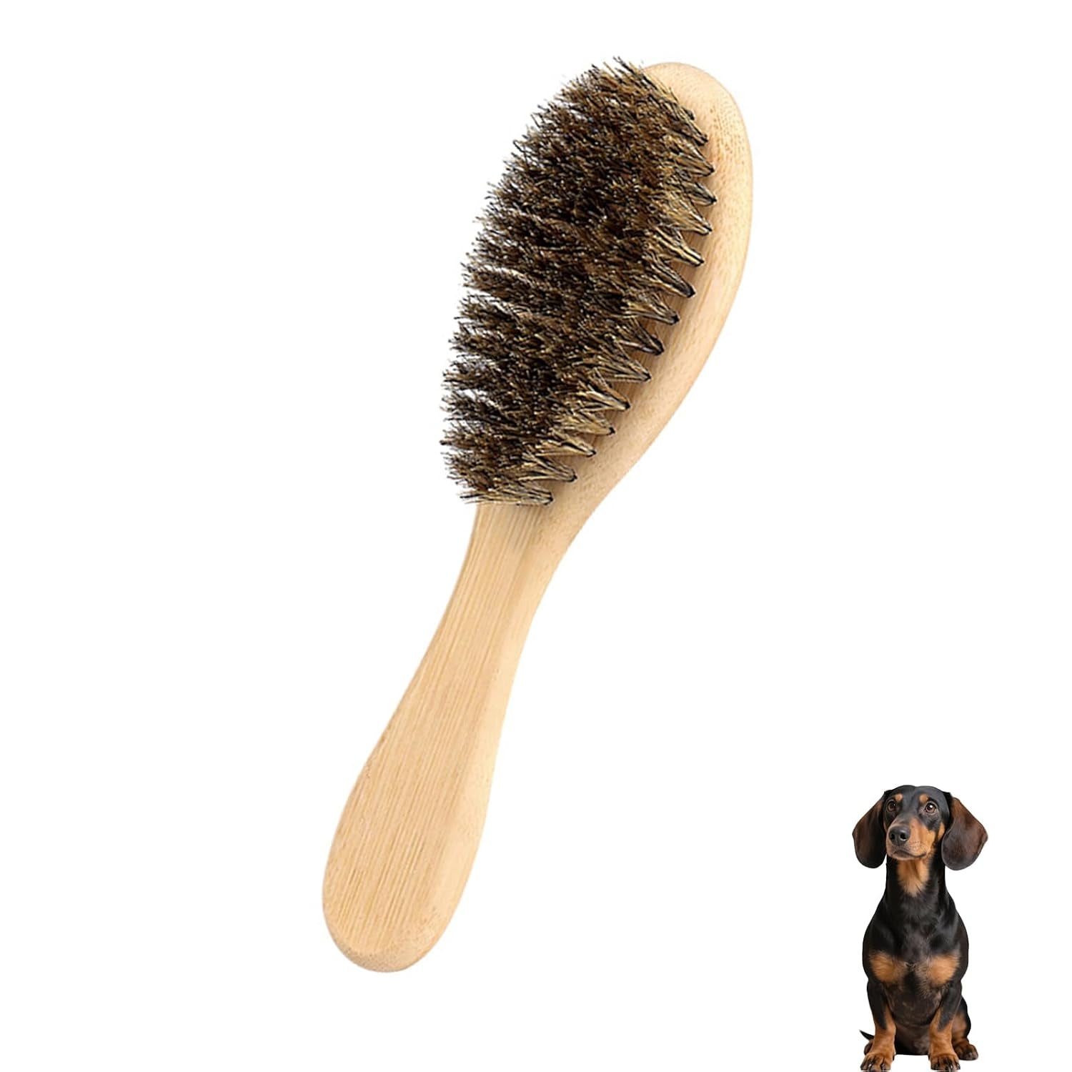 soft-boar-bristle-dog-brush-for-short-haired-ideal-pet-hair-brush-gentle-deshedding-grooming-tool-puppy-essentials-for-grooming-and-shedding
