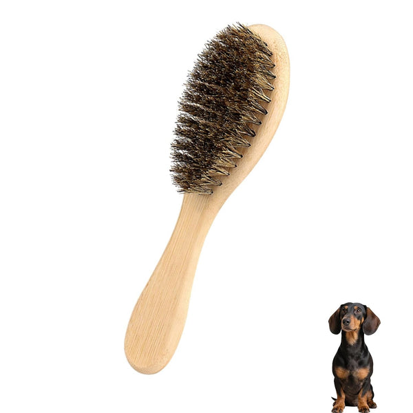 Soft Boar Bristle Dog Brush for Short Haired, Ideal Pet Hair Brush | Gentle Deshedding & Grooming Tool, Puppy Essentials for Grooming and Shedding1