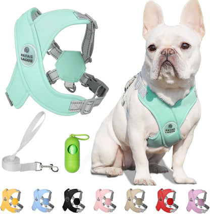 Patas Lague Dog Harness with Leash Set Adjustable Soft Padded Step-In Dog Vest No Choke No Pull Reflective for Small Medium Pets with Poop Bags and Dispenser, Solid and No-Chew, Pink M19