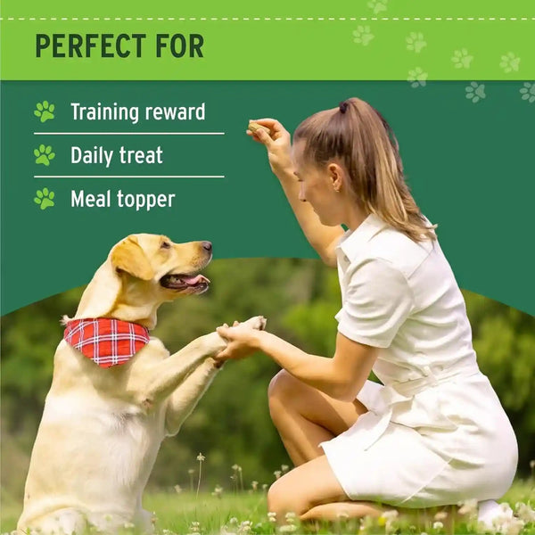 Nutri Bites Freeze Dried Beef Liver Dog & Cat Treats, Single Ingredient High Protein Pet Treats, 17.6 Oz5