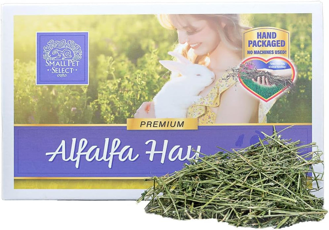 small-pet-select-alfalfa-hay-pet-food-for-young-rabbits-guinea-pigs-chinchillas-tortoises-and-other-small-animals-easy-to-store-box-5-lb
