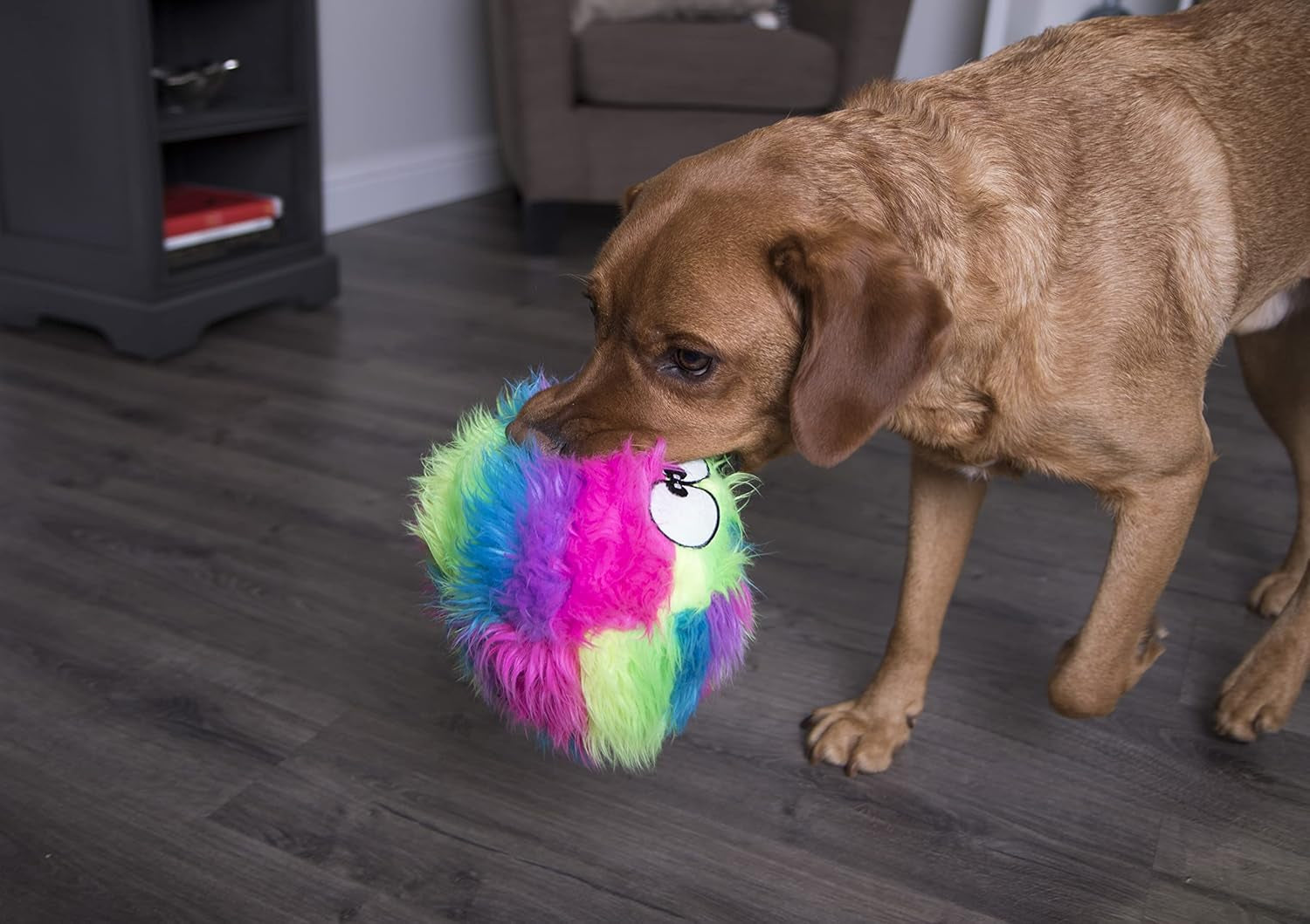godog-furballz-squeaky-plush-ball-dog-toy-chew-guard-technology-rainbow-large