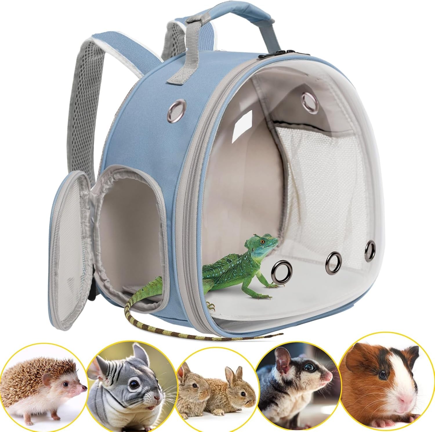 bearded-dragon-travel-carrier-lizards-carrier-small-animal-travel-carrier-for-sugar-glider-hedgehog-rat-parrot-bird-guinea-pig-portable-guinea-pig-travel-bag-for-2