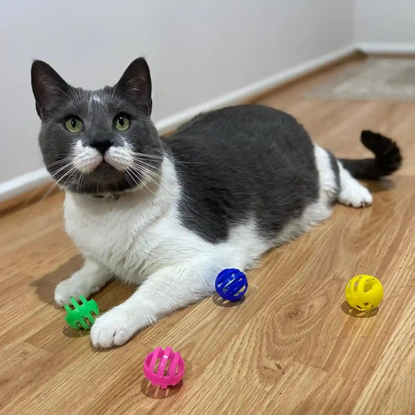 SPOT Slotted Balls Cat Toy - Interactive Cat Toys for Indoor Cats to Chase, Hunt and Stimulate - Jingle Bell inside for Sound When Batted around - Safe and Non-Toxic - 1.5" Assorted 4-Pack4