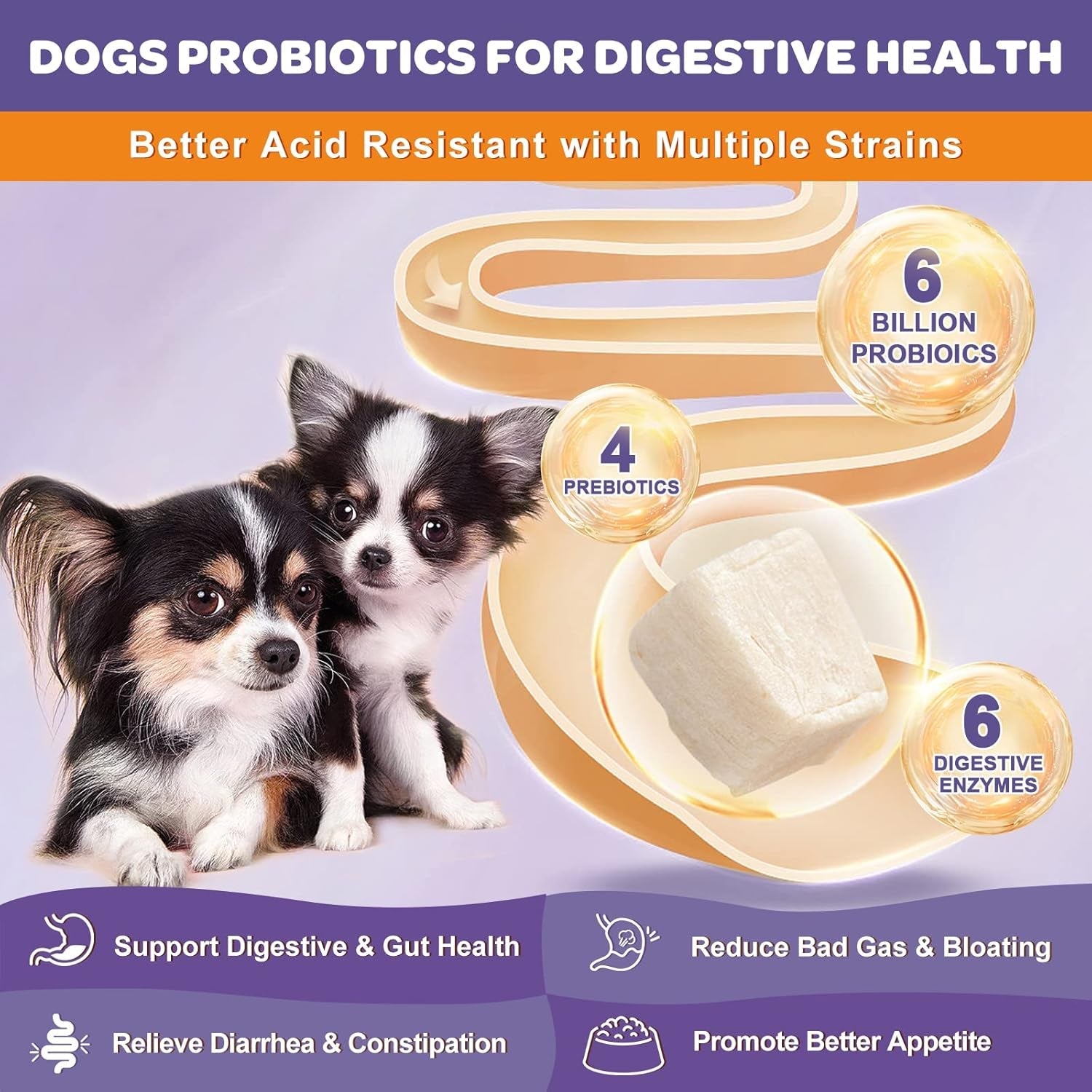 nature-target-6-billion-freeze-dried-probiotics-for-dogs-120-bites-with-prebiotics-enzymes-vitamins-omega-3-support-digestive-gut-health-itch-relief-reduce-diarrhea
