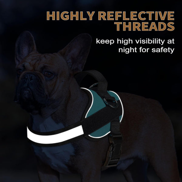 Haapaw Essential Dog Harness, No Pull Pet Vest with 3 Leash Clips, No Choke, Reflective, Adjustable and Padded, for Easy Walking and Training for Medium Dogs(M, Blue)4