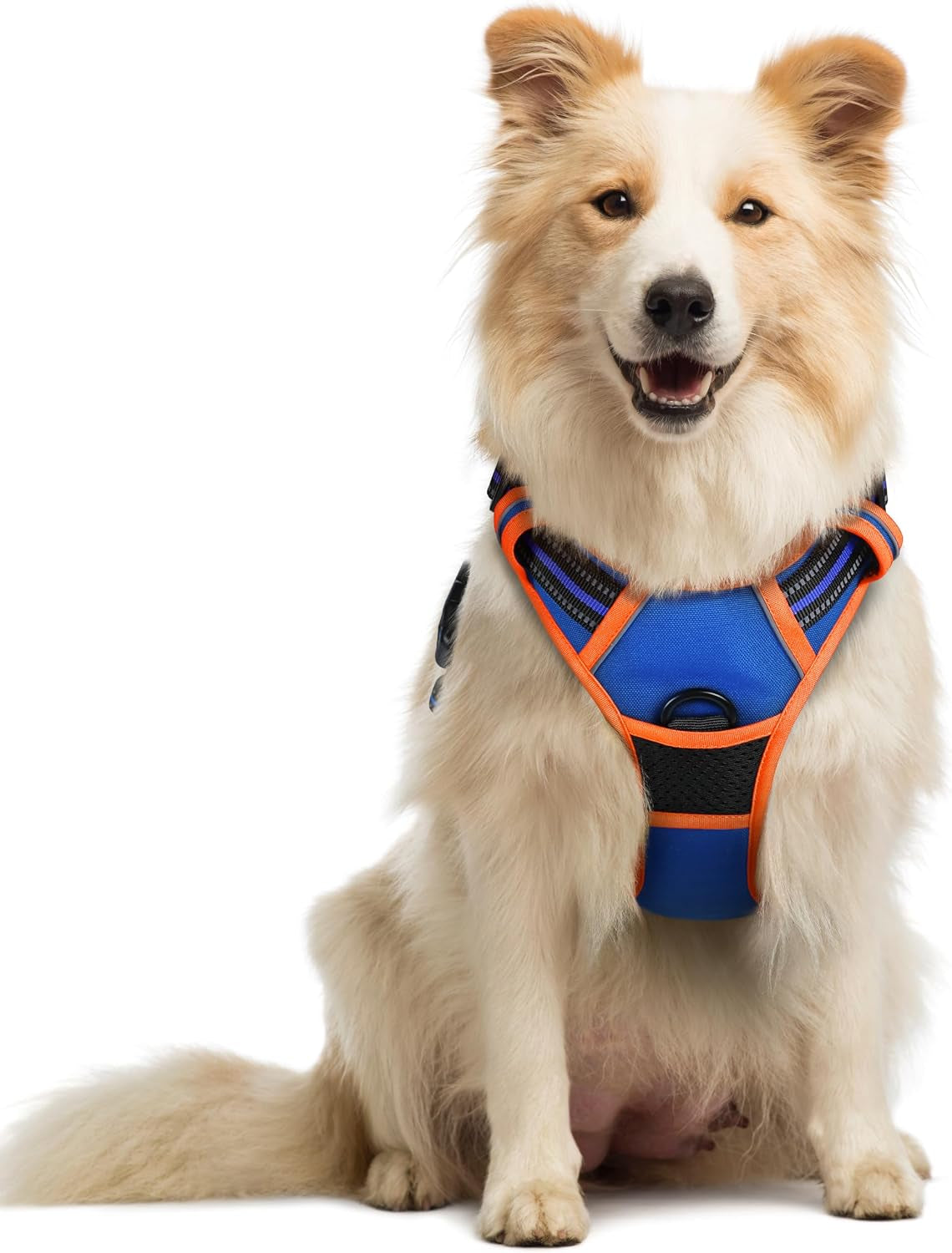 rabbitgoo-dog-harness-no-pull-for-large-dogs-with-2-leash-clips-pet-vest-no-choke-with-handle-adjustable-soft-padded-reflective-easy-control-for-walking-black-large