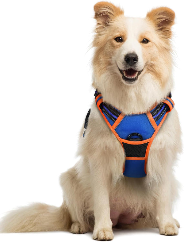 Rabbitgoo Dog Harness, No Pull for Large Dogs with 2 Leash Clips, Pet Vest | No Choke with Handle, Adjustable Soft Padded, Reflective, Easy Control for Walking, Black, Large112