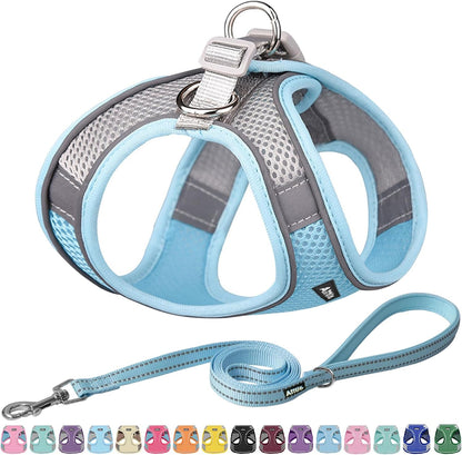 AIITLE No Pull Dog Harness and Leash Set, Step in Adjustable Dog Harness with Padded Vest for All Weather, Dog Leash with Soft Padded Handle, Easy to Put on Small and Medium Dogs Beige S11