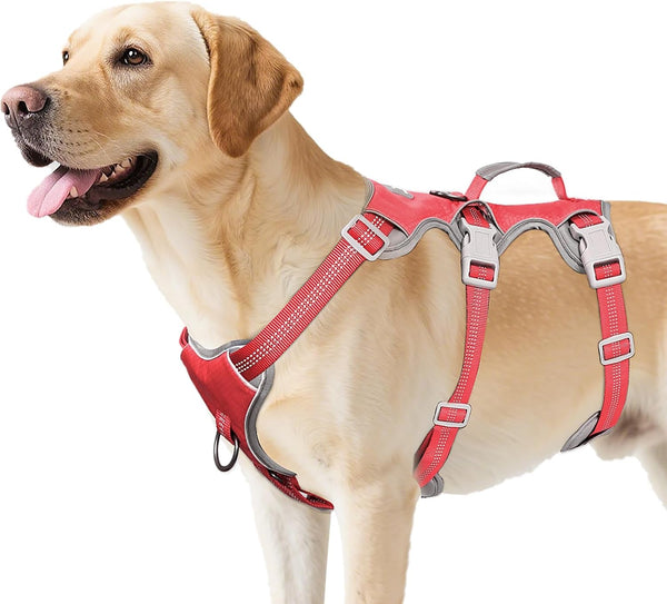 Huntboo Escape Proof Dog Harness, Escape Artist Harness, Reflective Harness with Padded Handle, Breathable, Durable, Adjustable Vest for Medium Dogs Walking, Training, and Running Gear (Blue, M)8