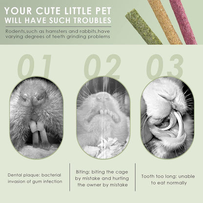 ERKOON Timothy Hay Sticks,Rabbit Chew Toys for Teeth Natural Molar Sticks Rabbits Treats for Bunnies, Chinchilla Guinea Pigs, Gerbil, Hamster (25 Pcs)5