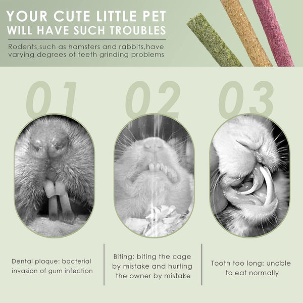 ERKOON Timothy Hay Sticks,Rabbit Chew Toys for Teeth Natural Molar Sticks Rabbits Treats for Bunnies, Chinchilla Guinea Pigs, Gerbil, Hamster (25 Pcs)5
