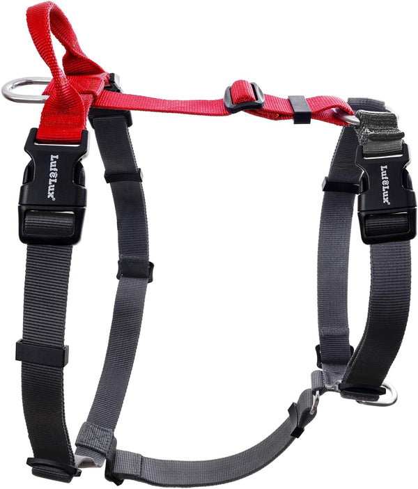 No Pull Dog Harness, Small, Purple/Black | Non Restrictive, Neck Buckle Design, Six Points Adjustment, Lightweight Easy Walk, Small Dogs Chest(17-23Inches)9