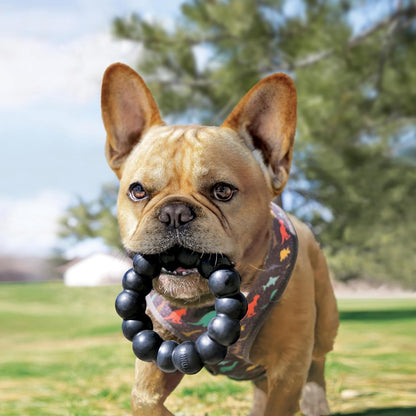 KONG Extreme Ring - Durable Natural Rubber Ring Toy for Healthy Chewing Habits - Chew Toy Supports Dog Dental Health - Dog Toy Supports Instincts during Playtime - for XL Dogs2