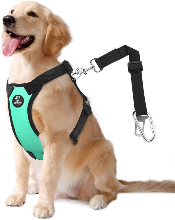 Vavopaw Dog Seat Belt Vest Harness for Car,2 in 1 Seatbelt Buckle | Soft Breathable Mesh,Adjustable Buckle,Nylon,Heavy Duty Pet Safety Seat Belts for Small Medium Large Pets,Black,L23